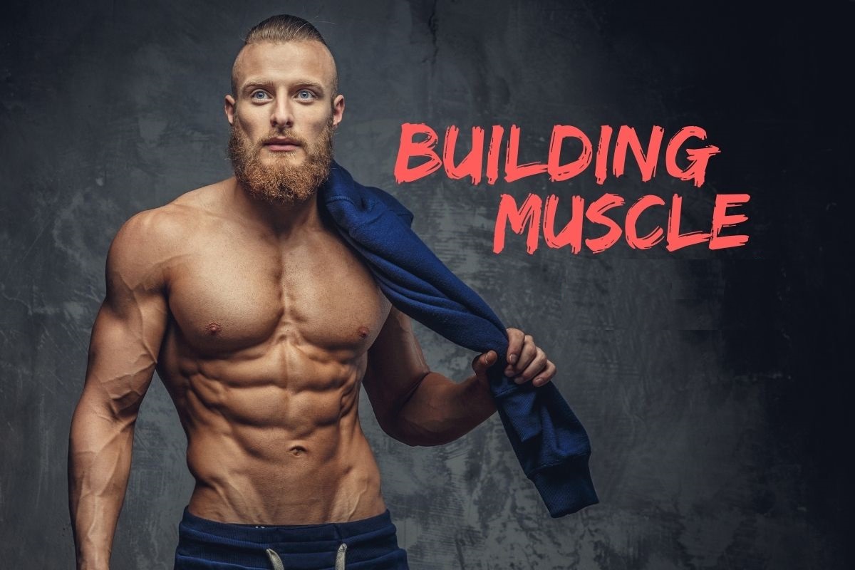 Lean Muscle Mass – The Ultimate Building Guide