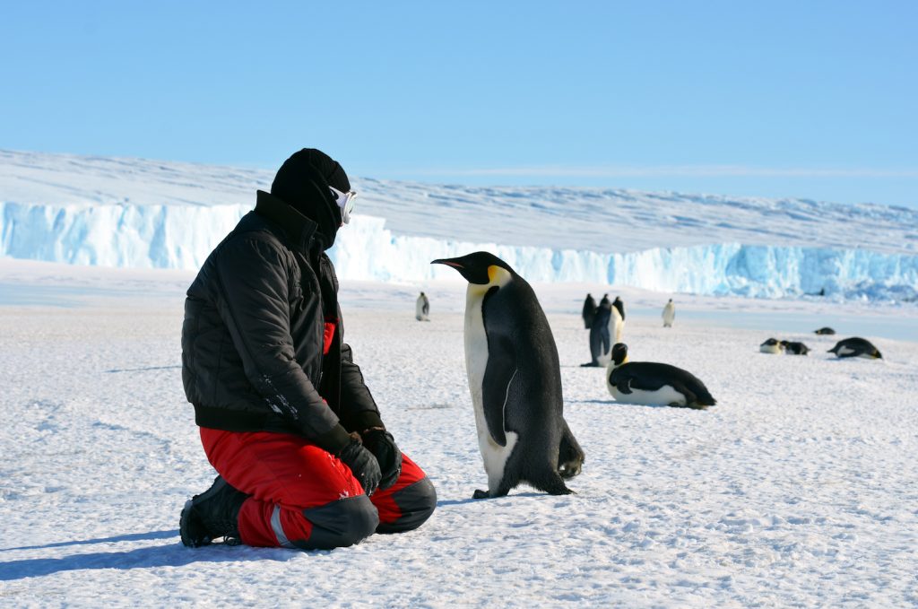 How Can You Visit Antarctica – Everything You Need To Know