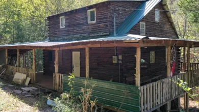 Wooded Tennessee Retreat with Two Cabin Structures and a 30×40 Shop in Linden — 9,900